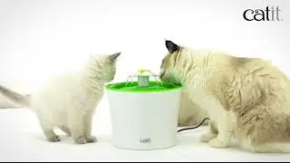 Amazon com  Catit Flower Fountain  3L Drinking Fountain with Triple Action Filter  Pet Supplies 2 te