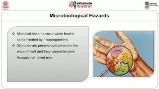 Food Safety