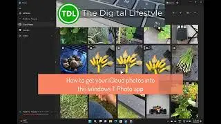 How to get your iCloud photos into the Windows 11 Photo app
