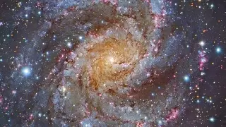 How you can make the next big cosmic discovery