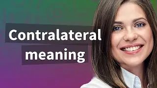 Contralateral | meaning of Contralateral