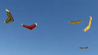 RC slope soaring flying wing combat