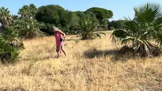 The beautiful girl metal detector 