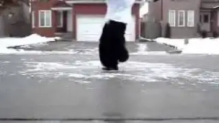 VietJr VsM X D