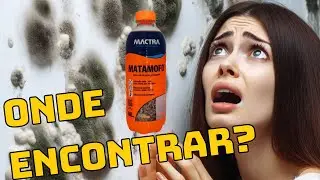 N&atilde;o encontro Mactra Mata Mofo ! Como remover esse fungo agora?