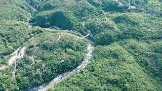 Serene Pathway: A Walk Through Lush Greenery