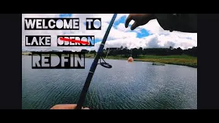 Welcome to lake Redfin! I mean Oberon