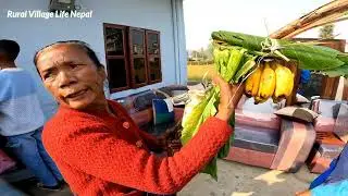 Darai Cultural Wedding Ceremony | Indegenousness  Tribes Of Nepal 