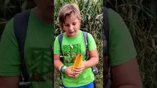 I LIKE CORN SONG!!🤣🌽
