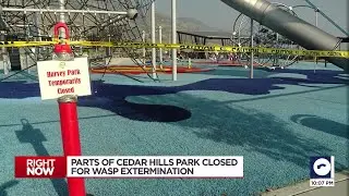 Wasp infestation causes a Utah County park to temporarily shut down