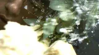 Silica Gel - Molecular Gastronomy