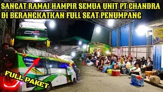 SANGAT RAMAI DI LOKET PT CHANDRA‼️HAMPIR SEMUA UNITNYA DI BERANGKATKAN FULL SEAT PENUMPANG❗