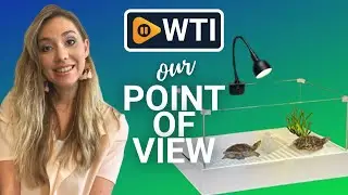 Hypool Glass Turtle Tank Starter Kits | Our Point Of View