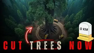 What Happens When Cities Choose TREES Over Towers?