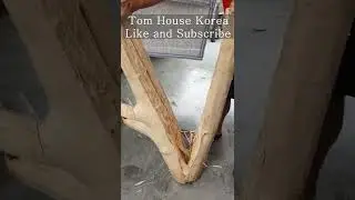 Unintentional ASMR Gingko log splitting in half