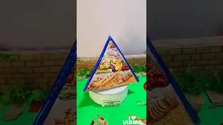 Health and Wellbeing model for science project | Health Food pyramid #shorts #healthylifestyle