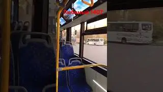 СЛОН АДМИРАЛА 1407 🚎