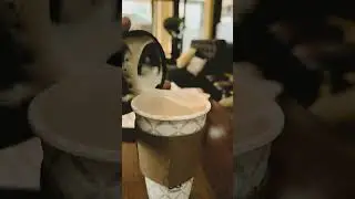 BEST coffee shop in San Pedro Sula Honduras to Visit in 2023 for Digital Nomads (Chill Vibes)