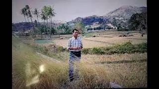 Mai Fali e - Timor Popular