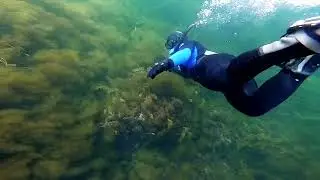 Exploring Sandy Cove in Terence Bay, Nova Scotia