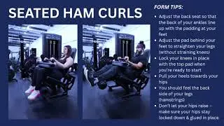 How to Perform Seated Hamstring Curl Machine | Exercise Tutorial & Form Tips
