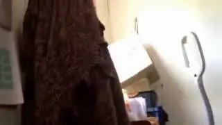 My dog responds to Kitty Cate Talks To Her Kittens by DrNworb