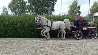 23. Juli 2025