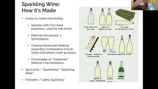 Frizzante & Spumante: The Sparkling Wines of Italy