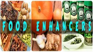 Exploring Food Enhancers/Food Aromatics/Food Flavorings