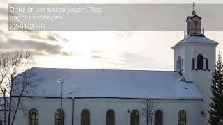 Detaljer om dödsolyckan: ”Såg något i snöhögen”