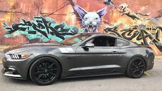 2016 Mustang GT Extreme wet shine detailing