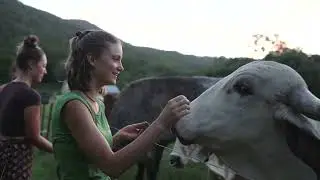 Krishna Village 6-week full immersion Yoga Teacher Training