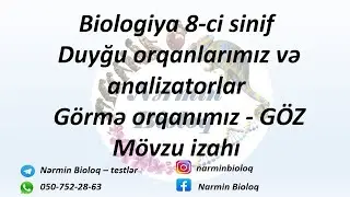 Biologiya 8-ci sinif Duyğu orqanlarımız və analizatorlar. Görmə orqanımız - GÖZ mövzu izahı