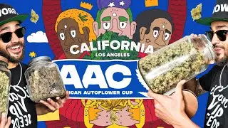 JUDING 75+ Entries!  AAC26 x iCan LIVE STREAM! 🔥😳 | Frosty Friday Show!