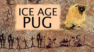 Where Did Pugs Come From? Meet the Ice Age Great Woolly Pug