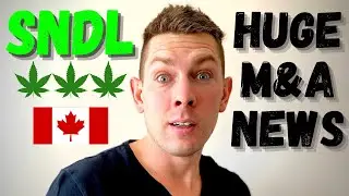 Sundial Buys Alcanna | SNDL Stock News Today | Best Canadian Stock Under $1 | Penny Stock Idea