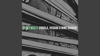 #FreeWeezy