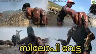 സിലോപി വേട്ട #realfishing #reallife#kayalfishing 