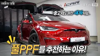 테슬라 신차는 무조건 풀-PPF 하세요!!│프라임쉴드 PPF만 4번째!!  [테슬라생활]