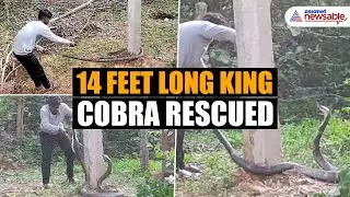 Stranded by monsoon, forgotten by authorities: Kodagu village's 25-year-long struggle continues