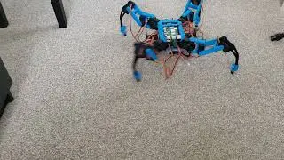 Quadruped Robot Creep Gait, Trot Gait, Funky Gait