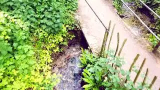 Natural World: S1, E1 Chiseldon UK (Full Screen)