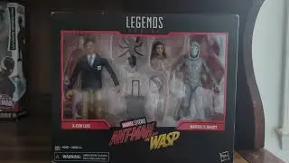 I got the Marvel Legends Ant-Man and the Wasp Luis and the Ghost 2-Pack figures