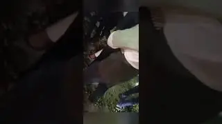 GASUJOK  BANGGAR  RARA JIGIKGNGJOK