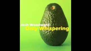Josh Woodward - She Dreams in Blue (Instrumental)