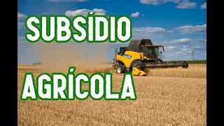 SUBS&Iacute;DIOS AGR&Iacute;COLAS: O QUE S&Atilde;O? | EF07GE06