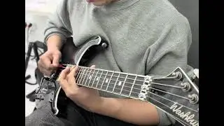 Washburn Guitar 