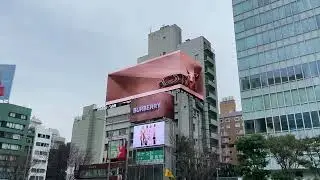 Outdoor 3D LED Advertisement Display Screen#leddisplay #3dleddisplay #ledscreen