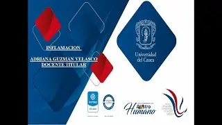 INFLAMACIÓN - Repasemos juntos los acontecimientos que los fisioterapeutas no podemos olvidar.