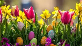 Vibrant Spring TV Art Easter Tulips & Colorful Eggs | 4K Frame TV Spring for Relaxation